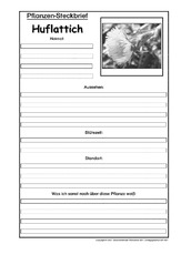 Pflanzensteckbrief-Huflattich-Sw.pdf